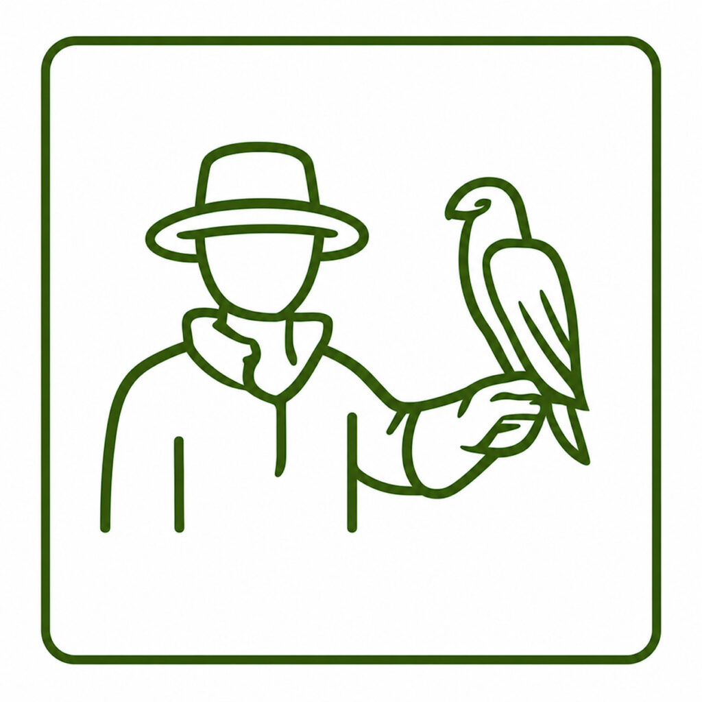 Home expert falconers national bird of prey centre
