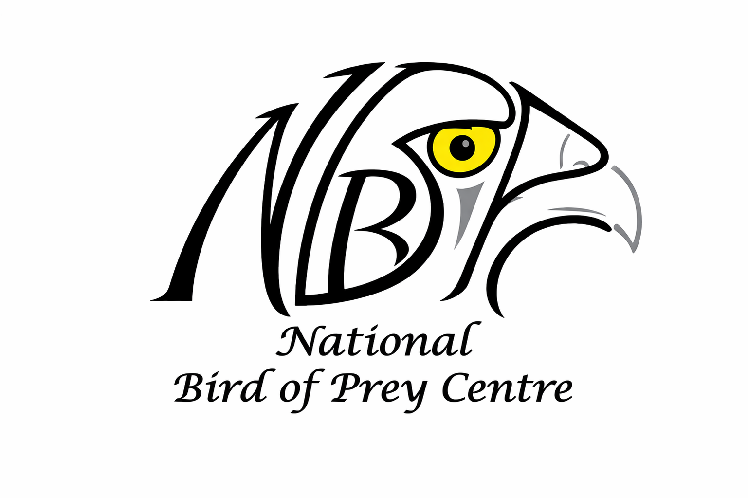 National Bird of Prey Centre at Russborough House Logo ireland